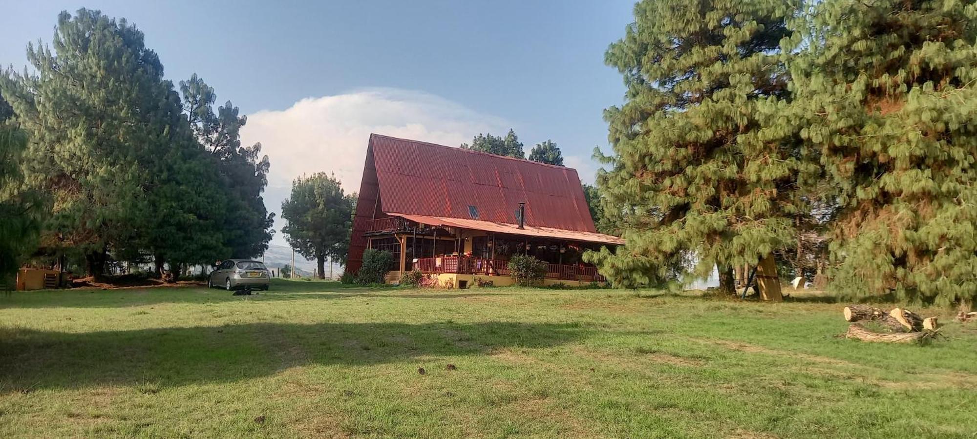 Chalets Amarelo Suesca Bagian luar foto