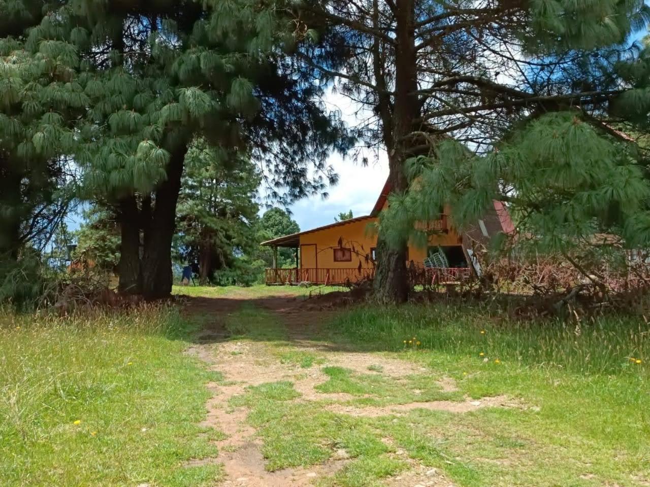Chalets Amarelo Suesca Bagian luar foto